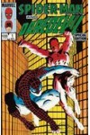 Spider Man and Daredevil VF-