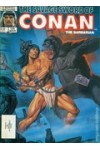 Savage Sword of Conan 134  FN