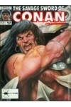 Savage Sword of Conan 169  FN-