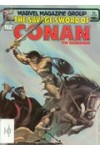 Savage Sword of Conan  85  FVF