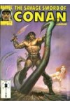 Savage Sword of Conan 178  FN-