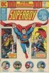 DC 100 Page Super Spectacular  15  VG