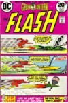 Flash  223  FN+