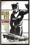 Catwoman (2011) 40b  VF